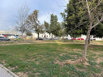/international/es/cartaya-andalusia-310100711479/?lang=zh-tw