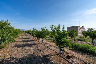 /international/es/santa-barbara-catalonia-310109130702/