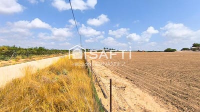 /international/es/alcantarilla-region-of-murcia-310101273615/