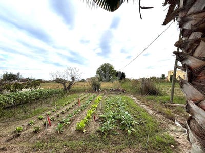 /international/es/maldonado-tarragona-catalonia-310107738640/