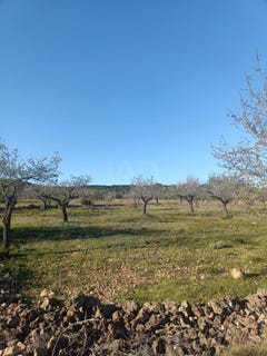 /international/es/diseminado-poligono-17-perello-el-catalonia-310105966343/