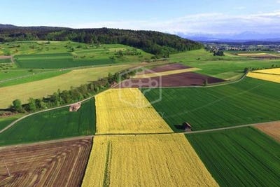 /international/es/caceres-extremadura-310104802899/