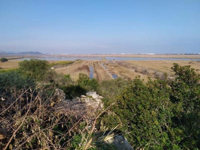 /international/es/denia-valencian-community-310106078866/
