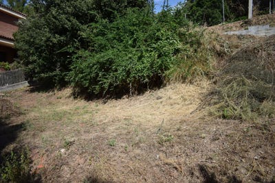 /international/es/l-ametlla-del-valles-catalonia-310096928365/