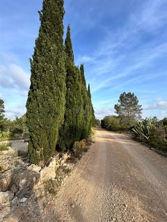 /international/es/tortosa-catalonia-310108087958/