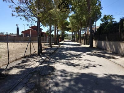 /international/es/baeza-andalusia-310105987310/