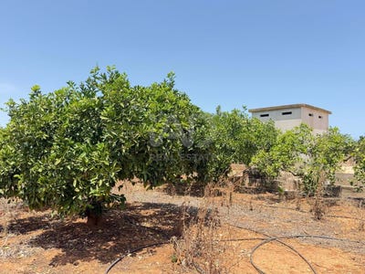 /international/es/poligono-portimao-valencian-community-310109077628/