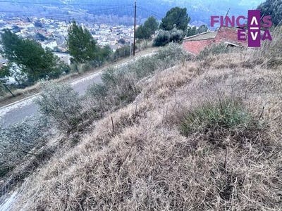 /international/es/barcelona-catalonia-310105073724/