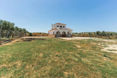 /international/es/niebla-andalusia-310105370857/
