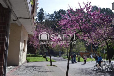 /international/es/arrigorriaga-basque-country-310101281998/
