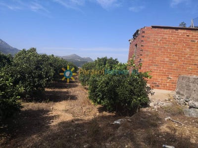 /international/es/vilallonga-villalonga-valencian-community-310108418845/