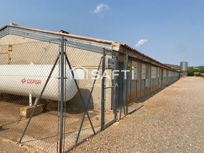 /international/es/alcublas-valencian-community-310105743171/