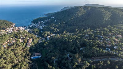 /international/es/tamariu-catalonia-310099786503/
