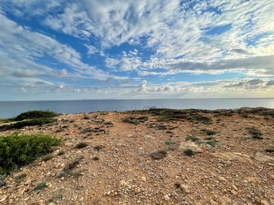 /international/es/36-carrer-de-picasso-vallgornera-balearic-islands-310101732226/