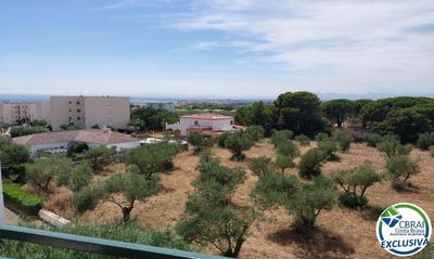 /international/es/mas-oliva-girona-catalonia-310100955542/