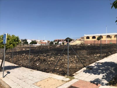 /international/es/merida-extremadura-310105100869/