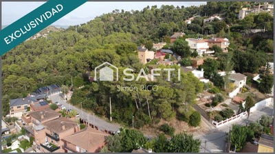 /international/es/cervello-catalonia-310105742109/