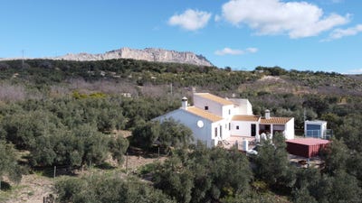 /international/es/ds-poligono-62-antequera-andalusia-310108924132/