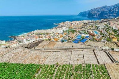 /international/es/puerto-de-santiago-canary-islands-310101378162/