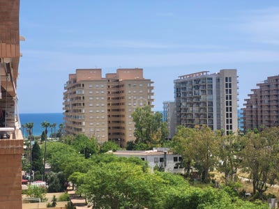 /international/es/portimao-valencian-community-310100484989/