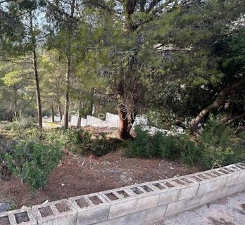 /international/es/altea-valencian-community-310100860665/