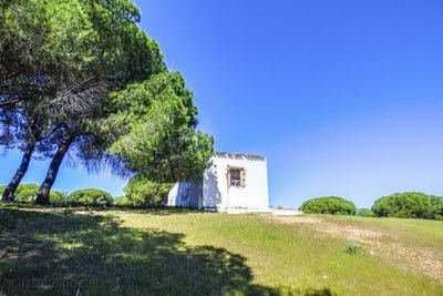 /international/es/ayamonte-andalusia-120029394936/