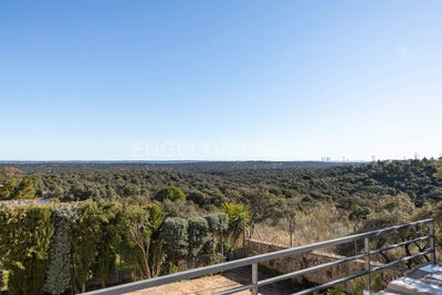 /international/es/las-rozas-de-madrid-madrid-310100642363/