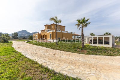 /international/es/pedreguer-valencian-community-310100642665/?lang=zh-tw
