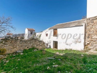 /international/es/canillas-de-albaida-andalusia-310100740268/