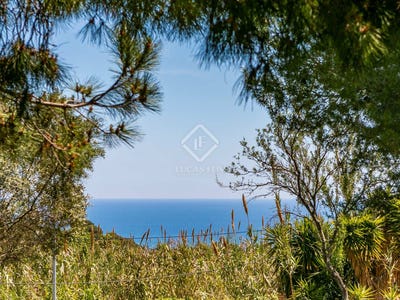 /international/es/cabrera-de-mar-catalonia-310094054654/