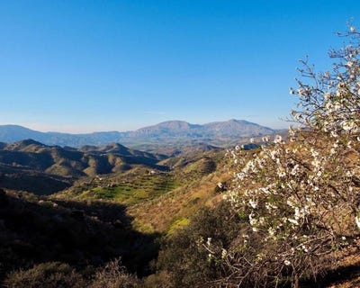 /international/es/alora-andalusia-120069357372/?lang=en