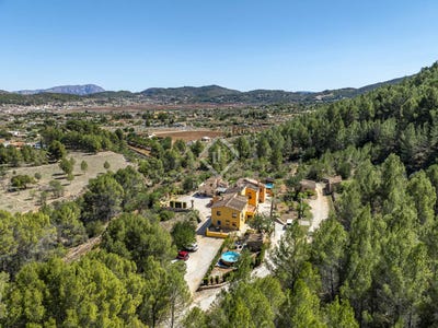 /international/es/jalon-valencian-community-120091619222/
