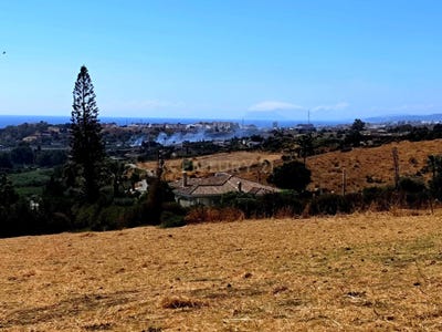 /international/es/estepona-andalusia-310101079211/