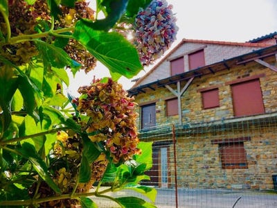 /international/es/cudillero-asturias-310101280239/?lang=es
