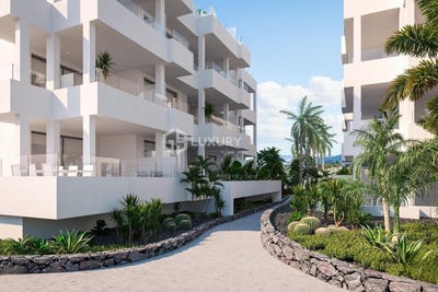 /international/es/arona-canary-islands-310100741408/