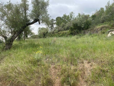 /international/es/pd-serres-castellvell-del-camp-catalonia-310104283470/