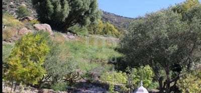 /international/es/girona-catalonia-310100365123/