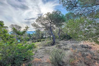 /international/es/can-girona-sitges-catalonia-310095226647/