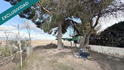 /international/es/pinoso-valencian-community-310105746397/