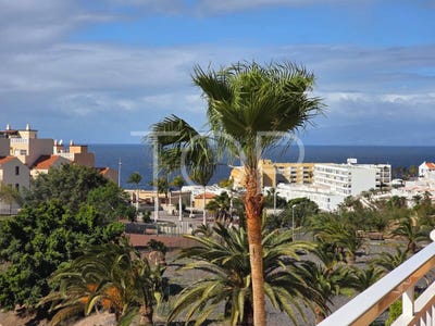 /international/es/adeje-canary-islands-310106590812/