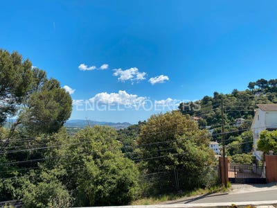 /international/es/palafolls-catalonia-310100642630/