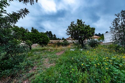 /international/es/urbanizacion-sant-roc-torres-torres-valencian-community-310104005174/