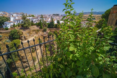 /international/es/ronda-andalusia-310107650303/