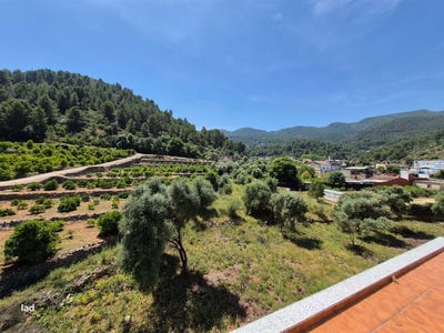 /international/es/villalonga-valencian-community-310108317419/