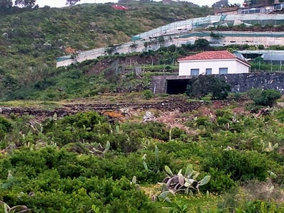 /international/es/calle-cenicera-4-38428-santa-cruz-de-tenerife-spain-san-juan-de-la-rambla-canary-islands-310105743567/
