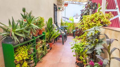/international/es/caceres-capital-extremadura-310109072710/