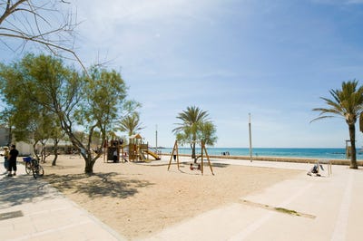 /international/es/14-cami-8411-municipality-of-palma-balearic-islands-310101735272/