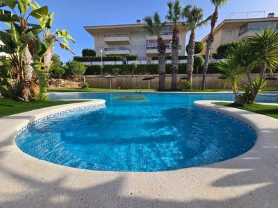 /international/es/torre-de-la-horadada-valencian-community-310109098379/