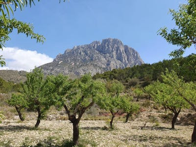 /international/es/finestrat-valencian-community-310106382085/