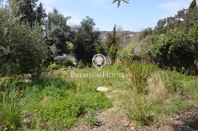 /international/es/el-masnou-catalonia-310110003574/